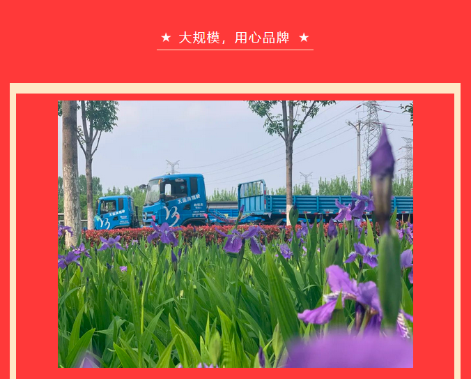 【濟(jì)寧大運(yùn)河駕?！恐戮磩趧?dòng)者，小車價(jià)學(xué)大車，報(bào)名就現(xiàn)在！ (圖3)